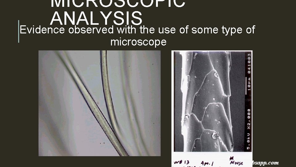 MICROSCOPIC ANALYSIS Evidence observed with the use of some type of microscope bsapp. com