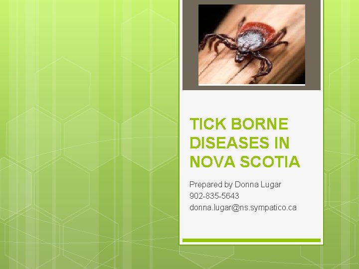 TICK BORNE DISEASES IN NOVA SCOTIA Prepared by Donna Lugar 902 -835 -5643 donna.