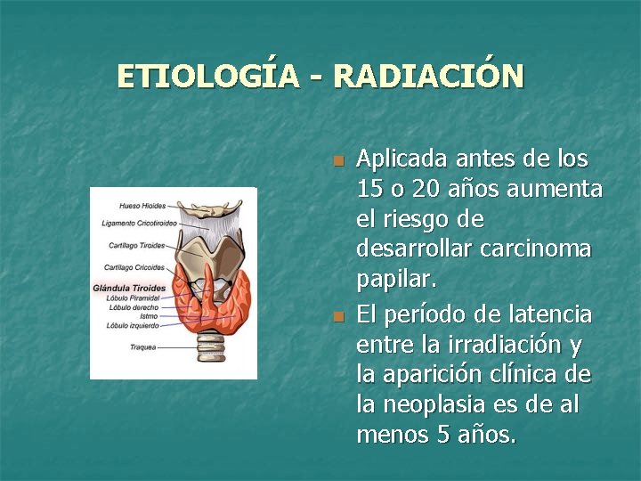 ETIOLOGÍA - RADIACIÓN n n Aplicada antes de los 15 o 20 años aumenta