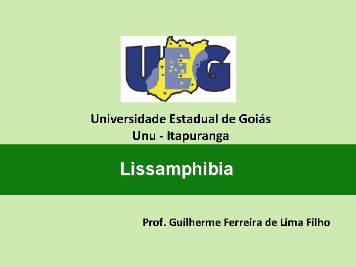Universidade Estadual de Goiás Unu - Itapuranga Lissamphibia Prof. Guilherme Ferreira de Lima Filho