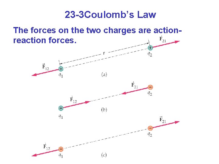 23 -3 Coulomb’s Law The forces on the two charges are actionreaction forces. 
