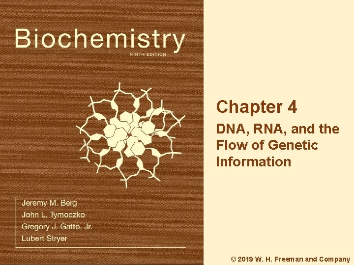 Chapter 4 DNA RNA and the Flow of