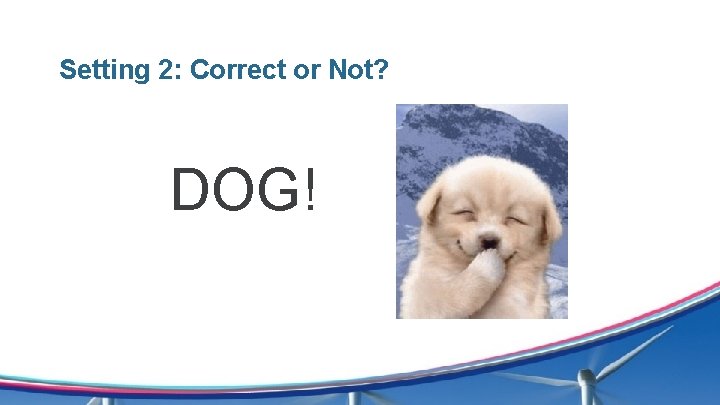 Setting 2: Correct or Not? DOG! 