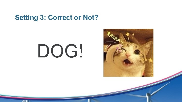 Setting 3: Correct or Not? DOG! 