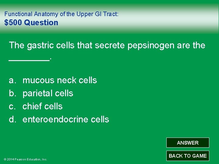 Functional Anatomy of the Upper GI Tract: $500 Question The gastric cells that secrete