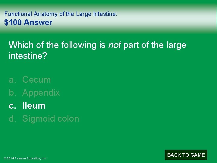 Functional Anatomy of the Large Intestine: $100 Answer Which of the following is not