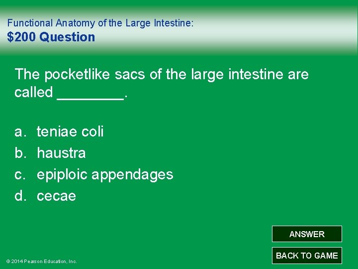 Functional Anatomy of the Large Intestine: $200 Question The pocketlike sacs of the large