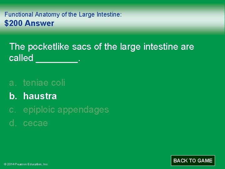 Functional Anatomy of the Large Intestine: $200 Answer The pocketlike sacs of the large
