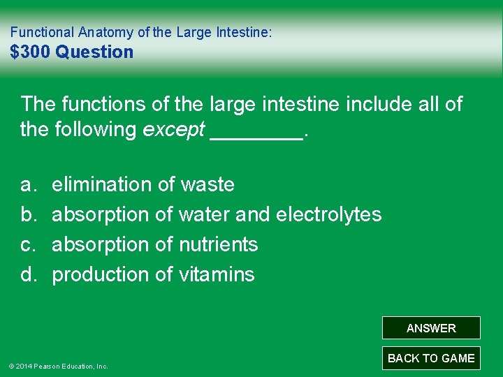 Functional Anatomy of the Large Intestine: $300 Question The functions of the large intestine