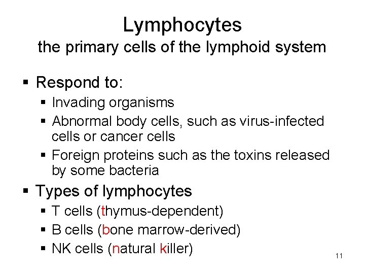 Lymphocytes the primary cells of the lymphoid system § Respond to: § Invading organisms