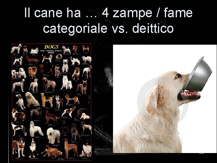 Il cane ha … 4 zampe / fame categoriale vs. deittico 23 