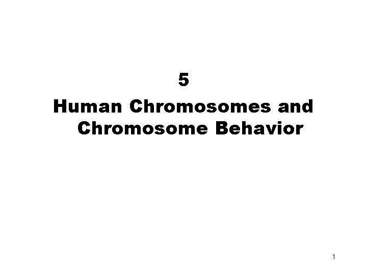 5 Human Chromosomes and Chromosome Behavior 1 