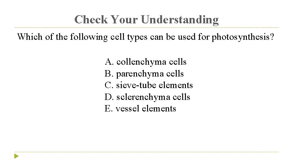 Check Your Understanding Which of the following cell types can be used for photosynthesis?