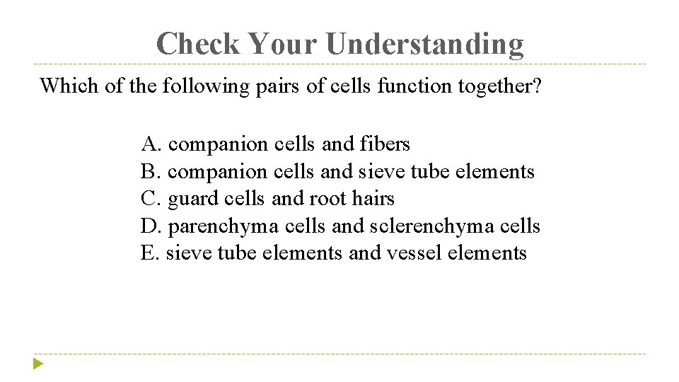 Check Your Understanding Which of the following pairs of cells function together? A. companion