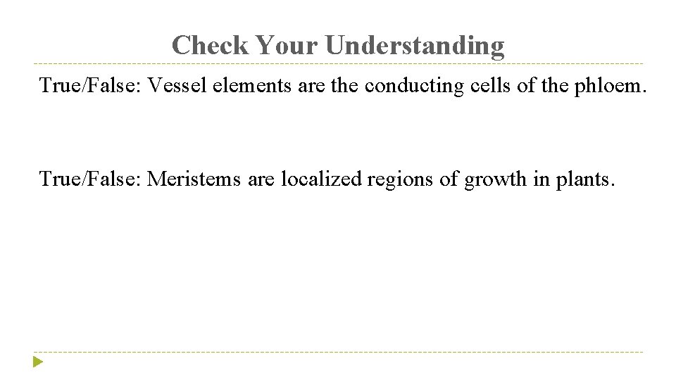 Check Your Understanding True/False: Vessel elements are the conducting cells of the phloem. True/False: