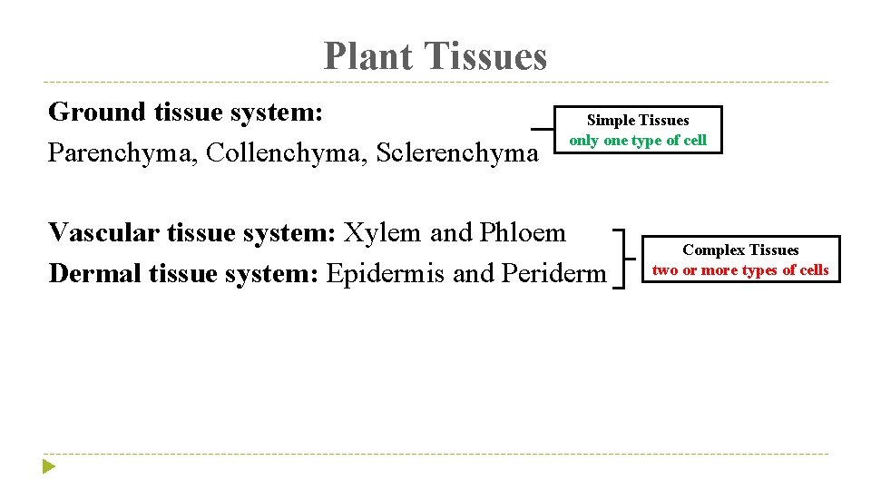 Plant Tissues Ground tissue system: Parenchyma, Collenchyma, Sclerenchyma Simple Tissues only one type of
