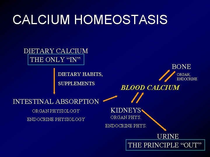 CALCIUM HOMEOSTASIS DIETARY CALCIUM THE ONLY “IN” BONE DIETARY HABITS, SUPPLEMENTS ORGAN, ENDOCRINE BLOOD