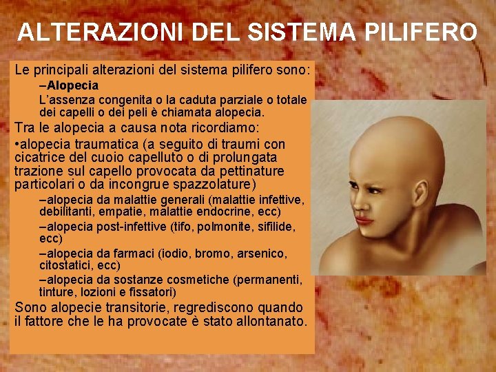 ALTERAZIONI DEL SISTEMA PILIFERO Le principali alterazioni del sistema pilifero sono: –Alopecia L’assenza congenita