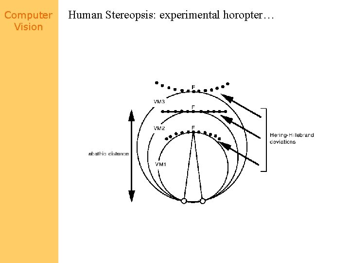 Computer Vision Human Stereopsis: experimental horopter… 