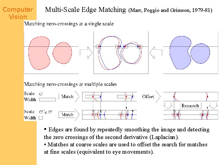 Computer Vision Multi-Scale Edge Matching (Marr, Poggio and Grimson, 1979 -81) • Edges are