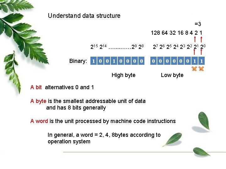 Understand data structure =3 128 64 32 16 8 4 2 1 215 214