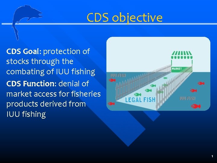 CDS objective CDS Goal: protection of stocks through the combating of IUU fishing CDS