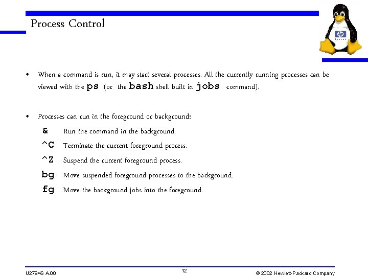 Process Control • When a command is run, it may start several processes. All