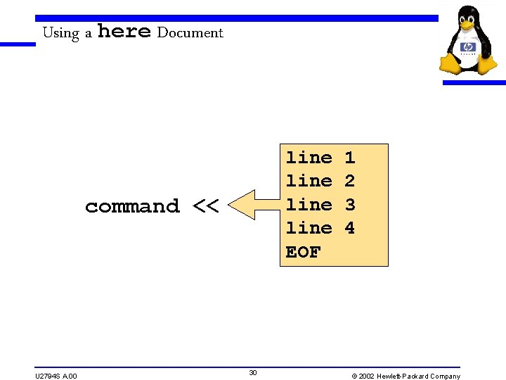 Using a here Document line EOF command << U 2794 S A. 00 30