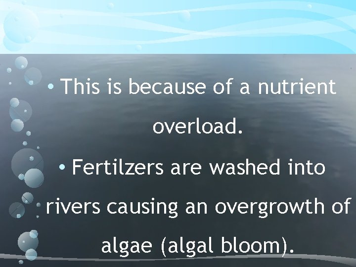 • This is because of a nutrient overload. • Fertilzers are washed into