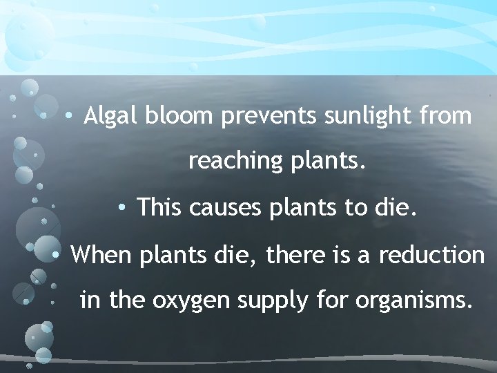  • Algal bloom prevents sunlight from reaching plants. • This causes plants to