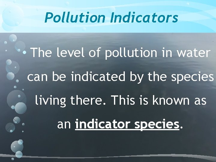 Pollution Indicators • The level of pollution in water can be indicated by the
