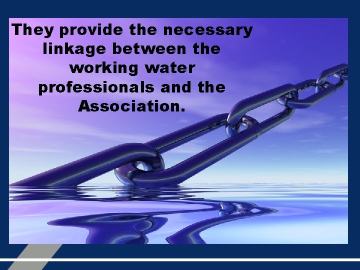 They provide the necessary linkage between the working water professionals and the Association. 