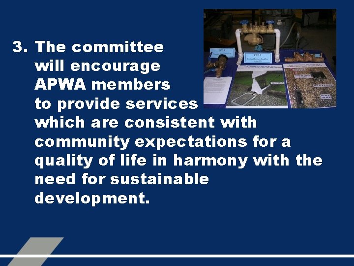 3. The committee will encourage APWA members to provide services which are consistent with