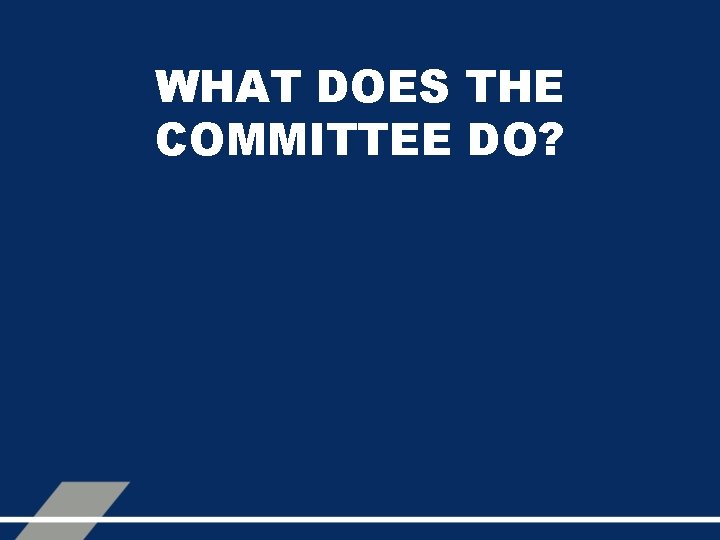 WHAT DOES THE COMMITTEE DO? 