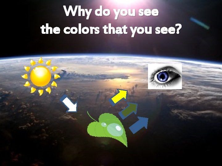 Why do you see the colors that you see? 