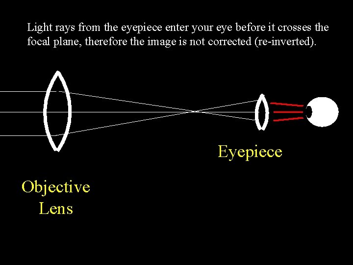Light rays from the eyepiece enter your eye before it crosses the focal plane,
