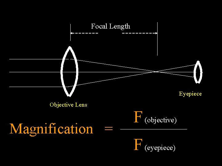 Focal Length Eyepiece Objective Lens Magnification = F (objective) F (eyepiece) 