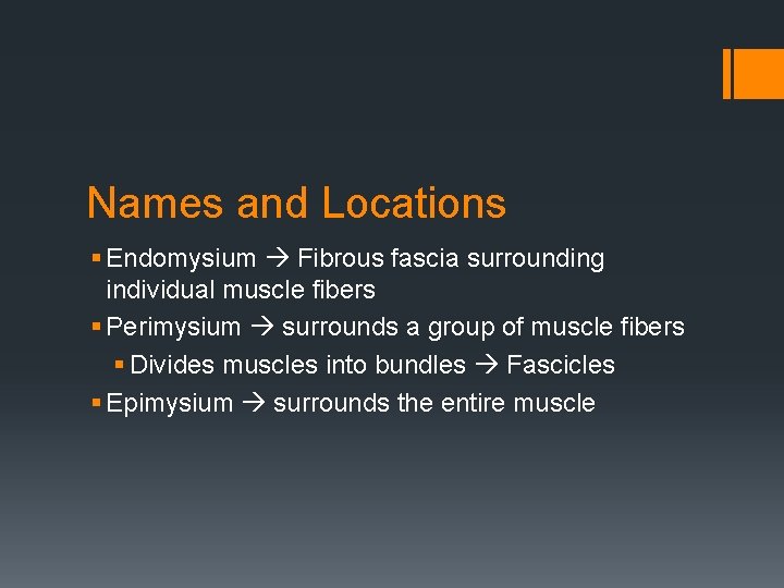Names and Locations § Endomysium Fibrous fascia surrounding individual muscle fibers § Perimysium surrounds