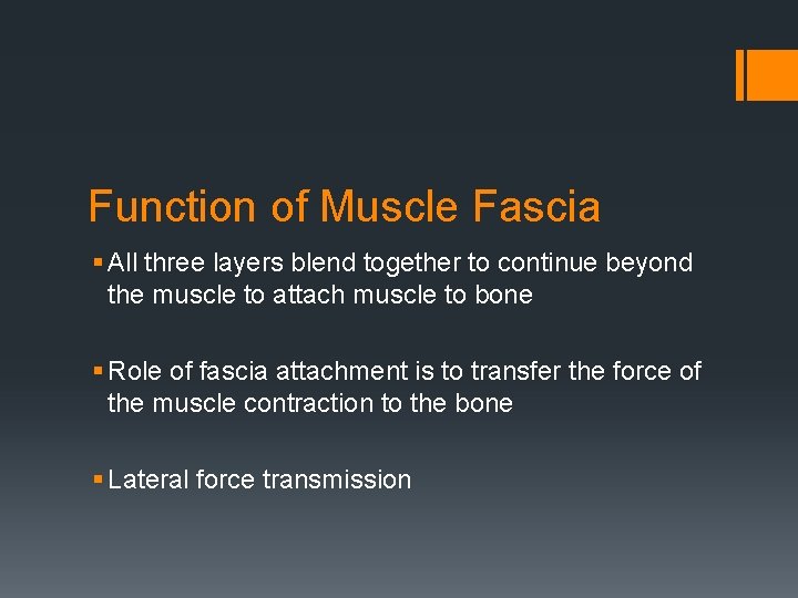 Function of Muscle Fascia § All three layers blend together to continue beyond the