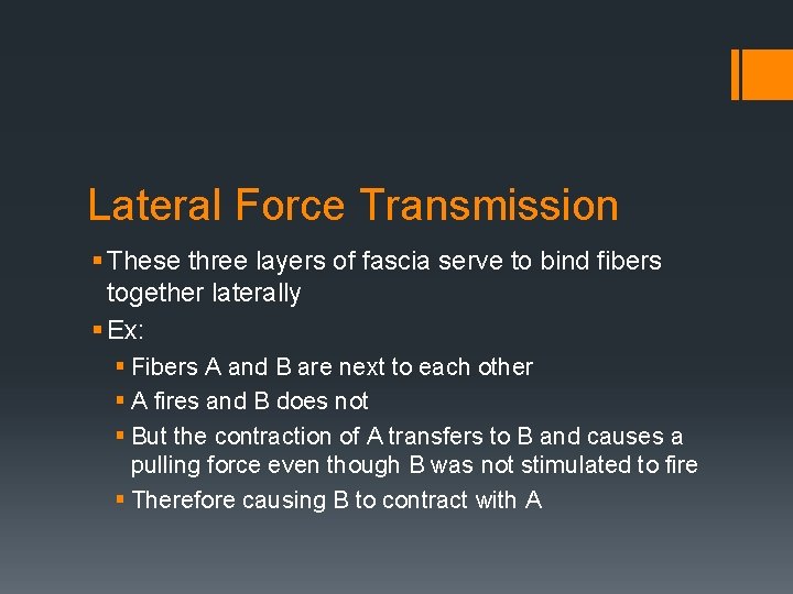 Lateral Force Transmission § These three layers of fascia serve to bind fibers together