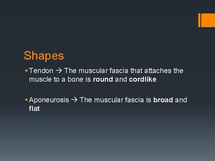 Shapes § Tendon The muscular fascia that attaches the muscle to a bone is