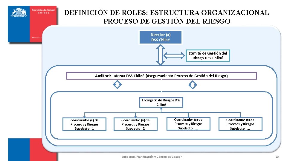 DEFINICIÓN DE ROLES: ESTRUCTURA ORGANIZACIONAL PROCESO DE GESTIÓN DEL RIESGO Director (a) DSS Chiloé