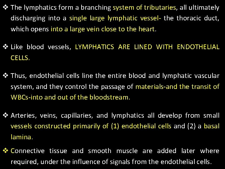 v The lymphatics form a branching system of tributaries, all ultimately discharging into a