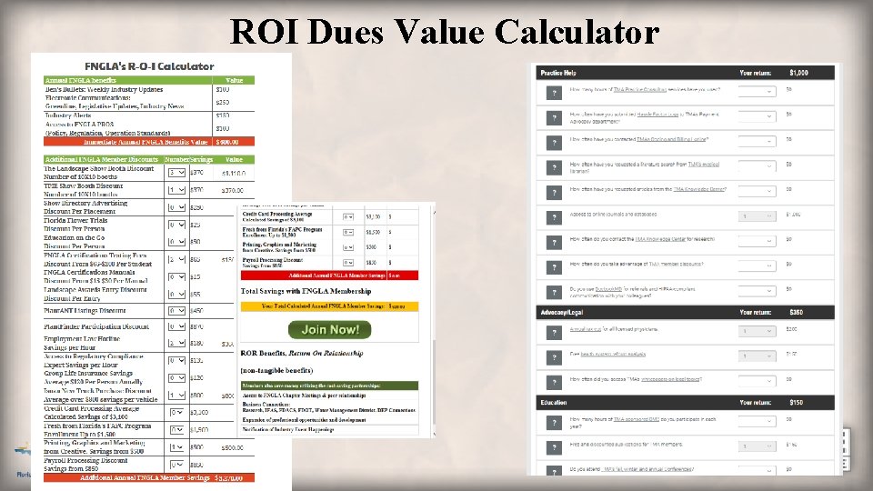 ROI Dues Value Calculator 