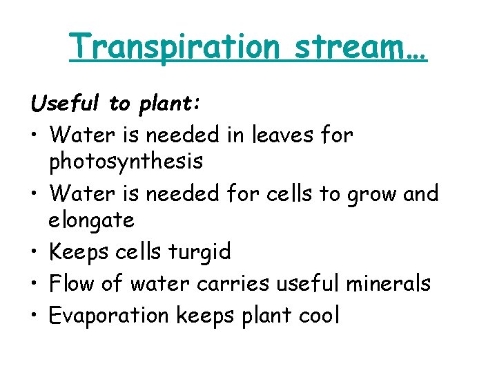 Transpiration stream… Useful to plant: • Water is needed in leaves for photosynthesis •