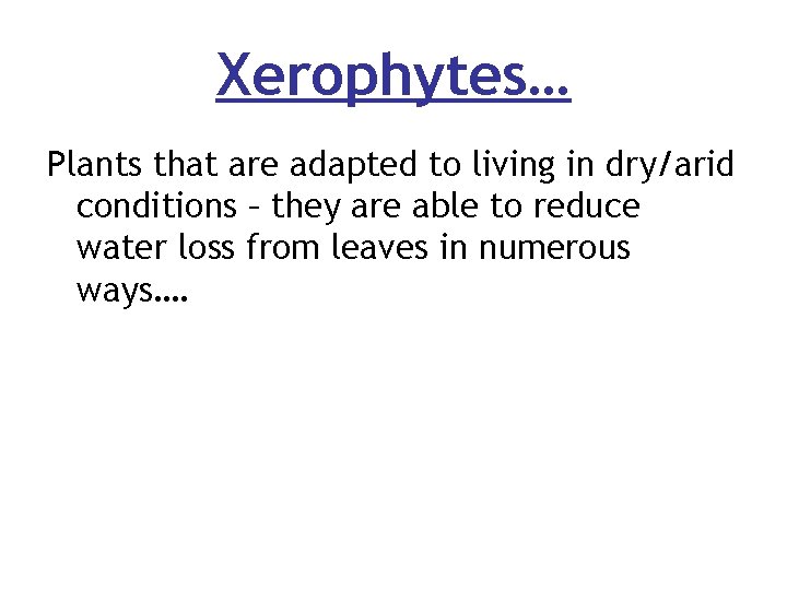 Xerophytes… Plants that are adapted to living in dry/arid conditions – they are able