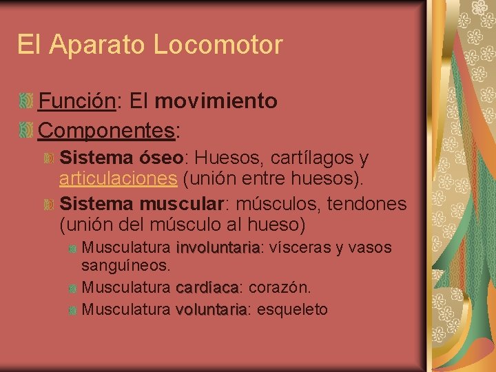 El Aparato Locomotor Función: El movimiento Componentes: Sistema óseo: Huesos, cartílagos y articulaciones (unión