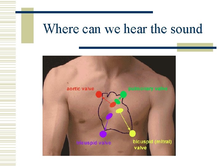 Where can we hear the sound 