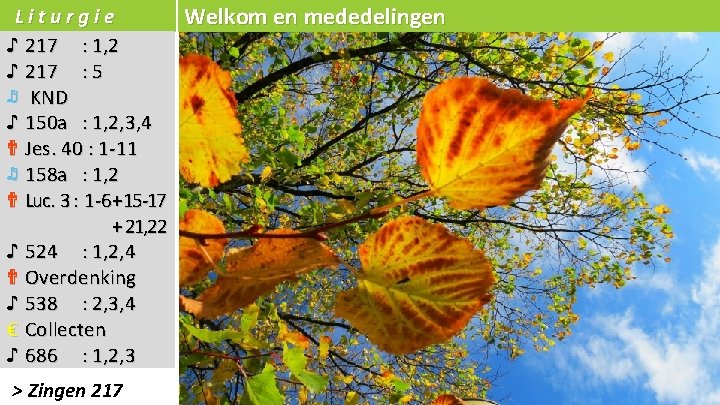 Liturgie Welkom en mededelingen ♪ 217 : 1, 2 ♪ 217 : 5 ♬