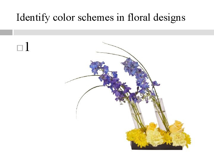 Identify color schemes in floral designs 1 